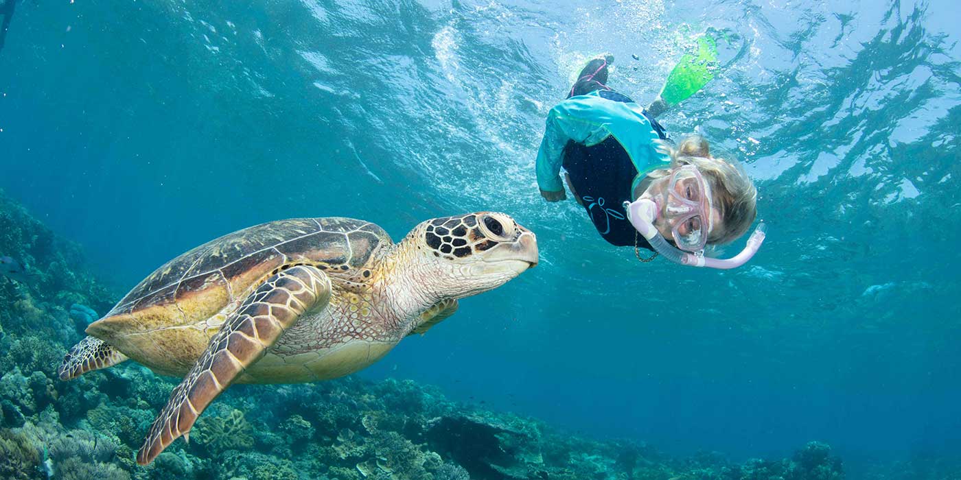 Maria Nila Cairns Turtle Rehabilitation Centre