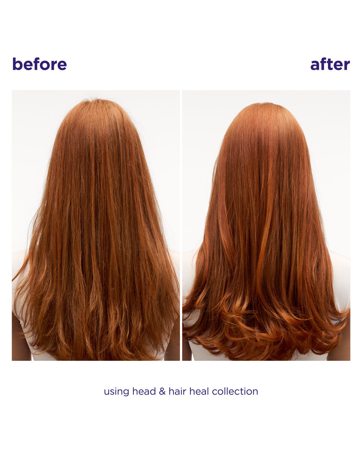 Head & Hair Heal Shampoo + Conditioner Duo